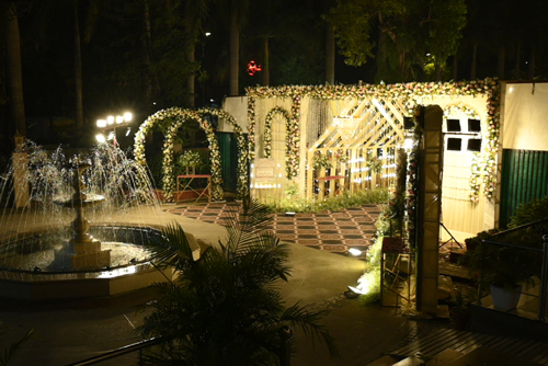 Party Pictures